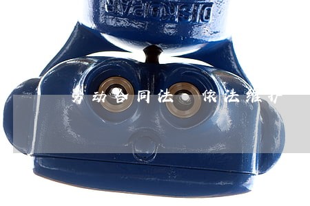 劳动合同法 依法维护 劳动合同法 依法维护